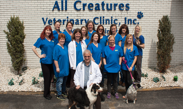 All Creatures Veterinary Clinic 